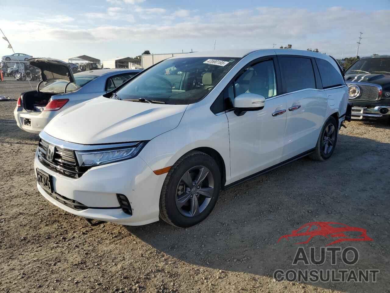 HONDA All Models 2022 - 5FNRL6H54NB030080