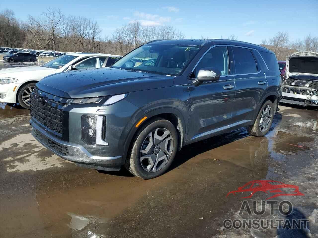 HYUNDAI PALISADE 2025 - KM8R4DGE6SU829599