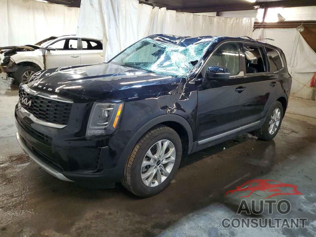 KIA TELLURIDE 2022 - 5XYP2DHC3NG270274