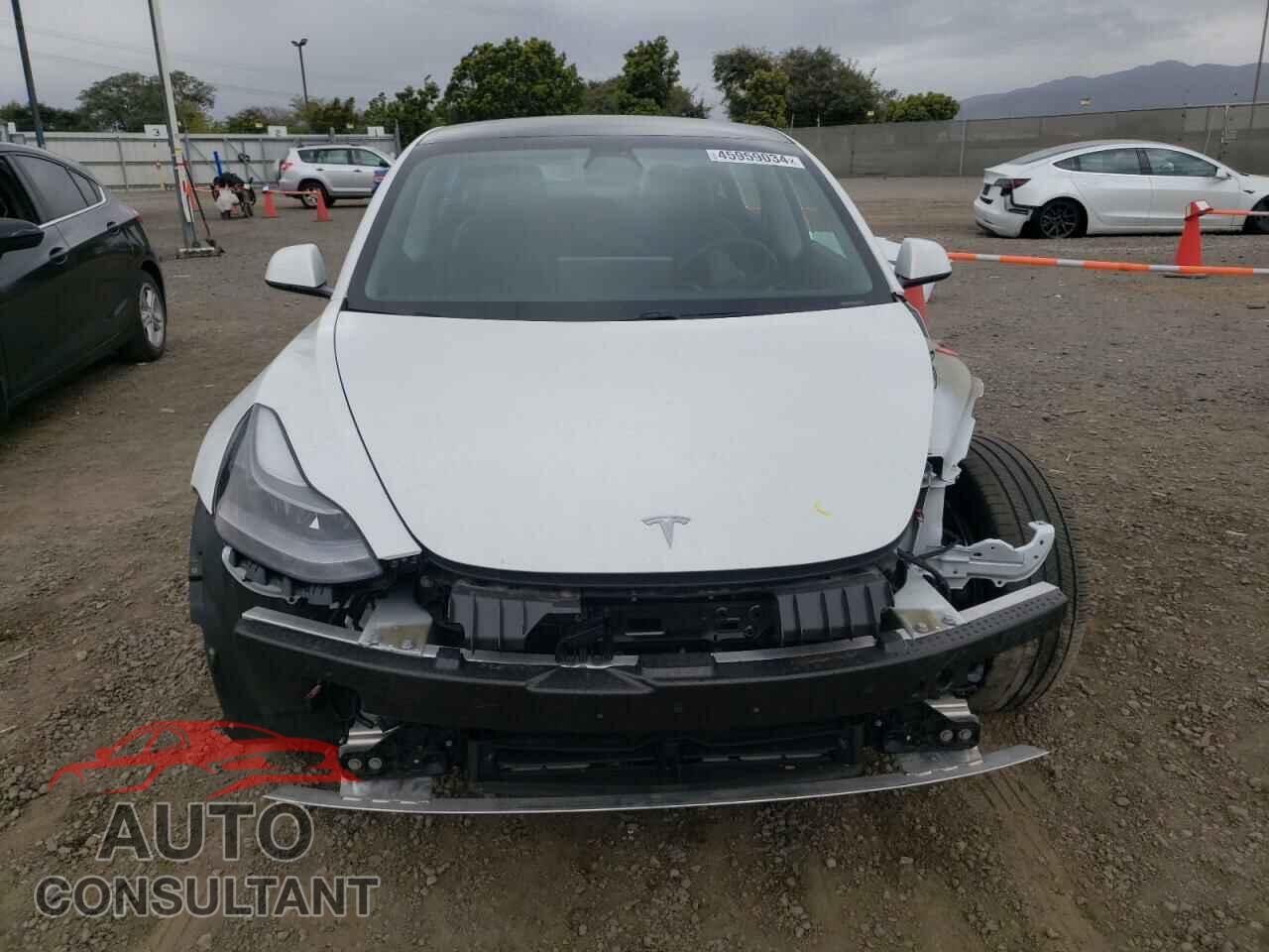 TESLA MODEL 3 2021 - 5YJ3E1EAXMF053589