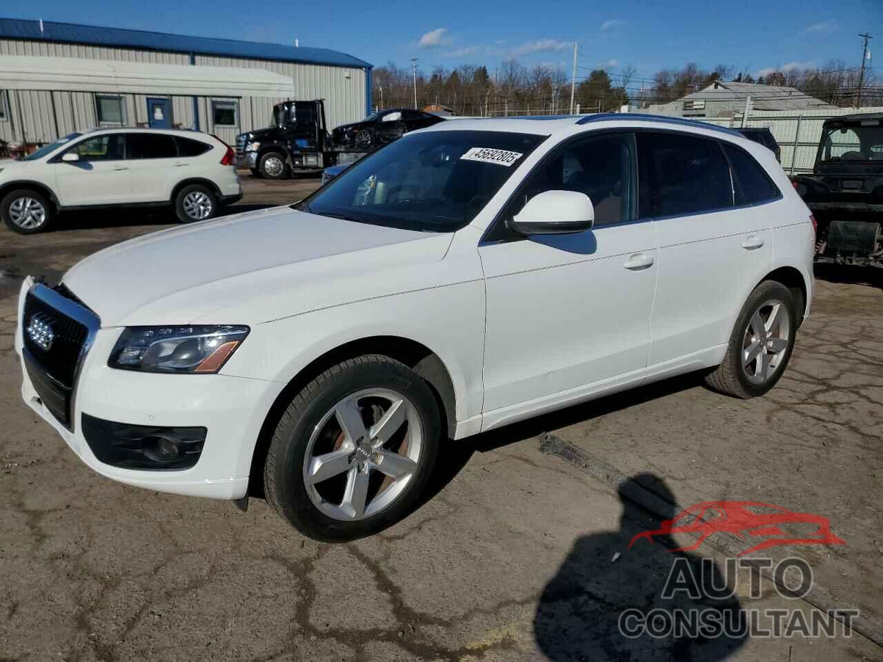 AUDI Q5 2010 - WA1LKAFP8AA113590