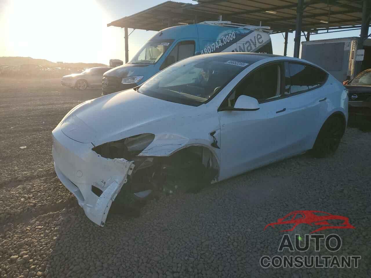 TESLA MODEL Y 2024 - 7SAYGAEE5RF036521