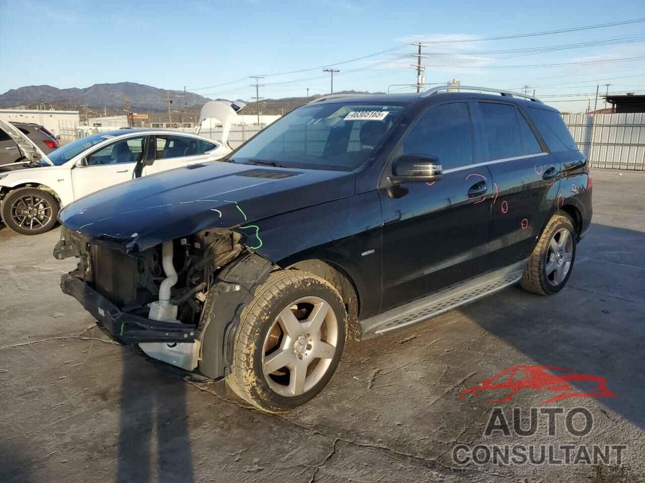 MERCEDES-BENZ M-CLASS 2012 - 4JGDA5HB1CA020835