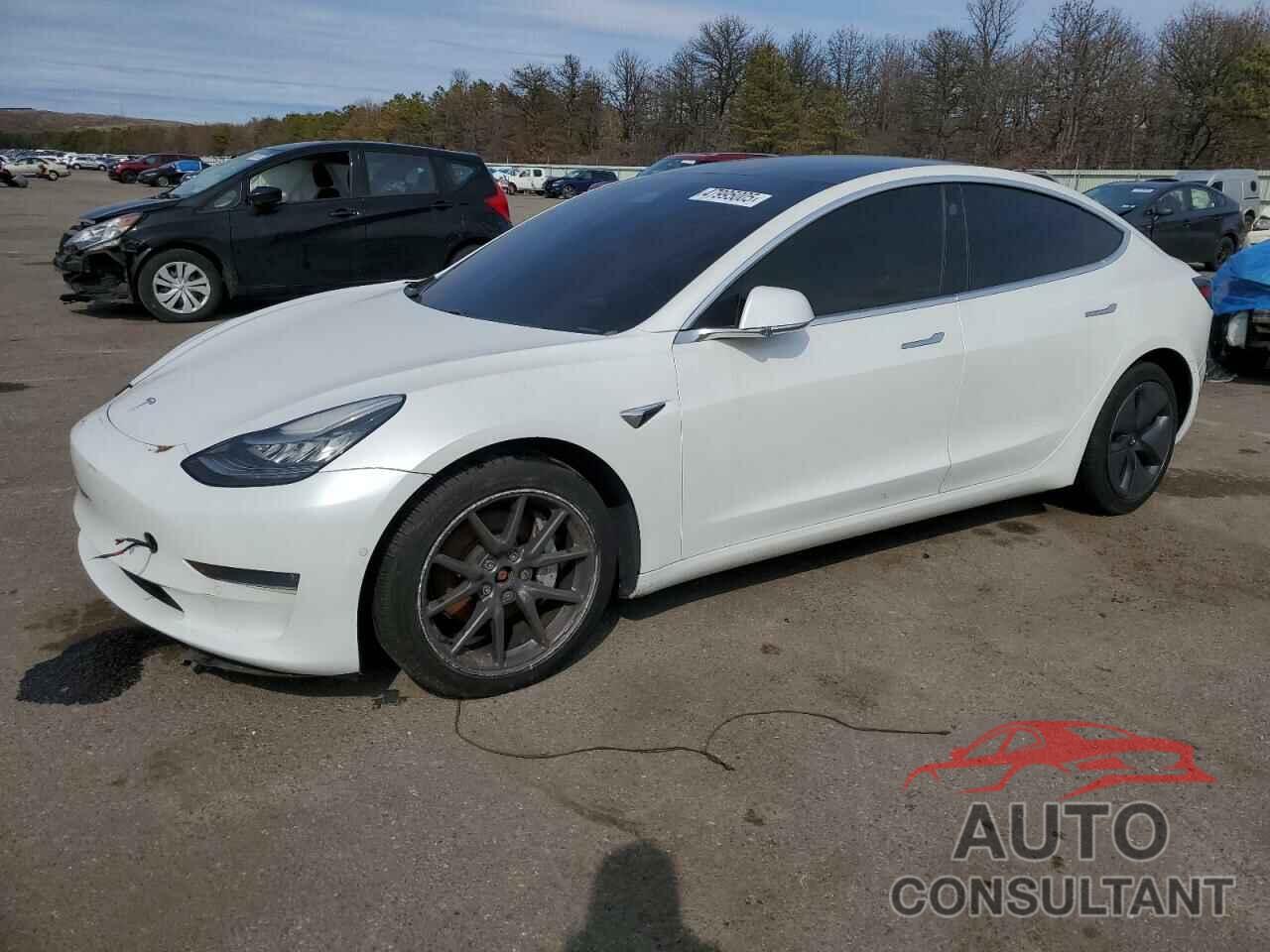 TESLA MODEL 3 2019 - 5YJ3E1EB1KF513454