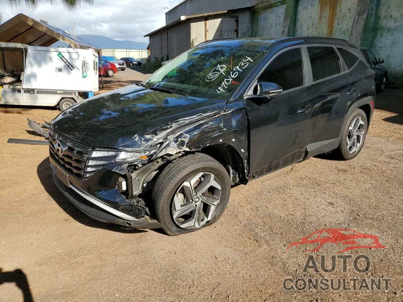 HYUNDAI TUCSON 2023 - 5NMJFCAE0PH173235