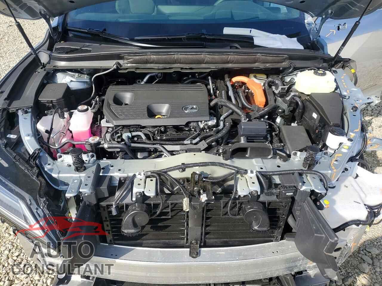 LEXUS UNKNOWN 2026 - 2T2BBMCA8TC118589