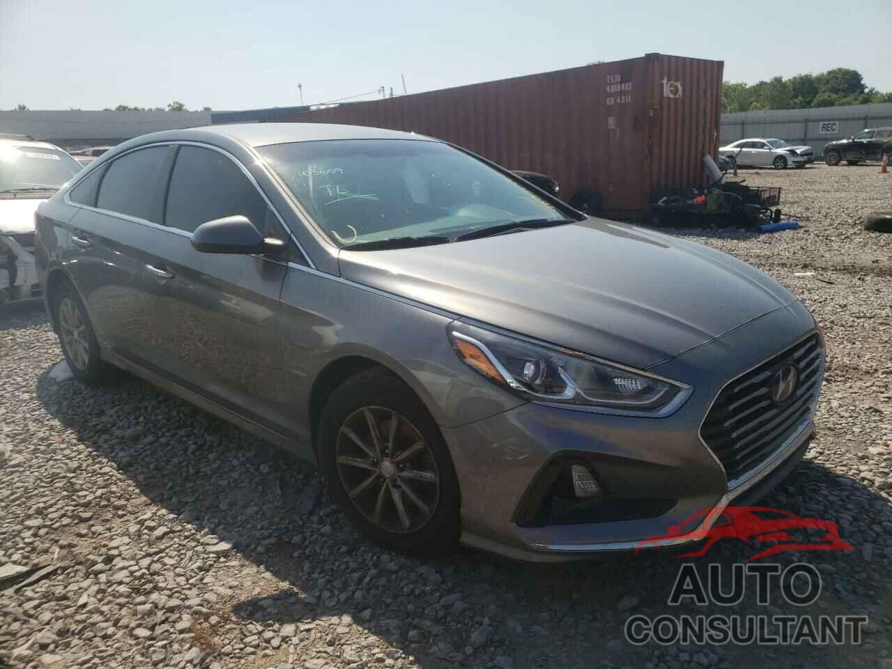 HYUNDAI SONATA 2019 - 5NPE24AF2KH773858
