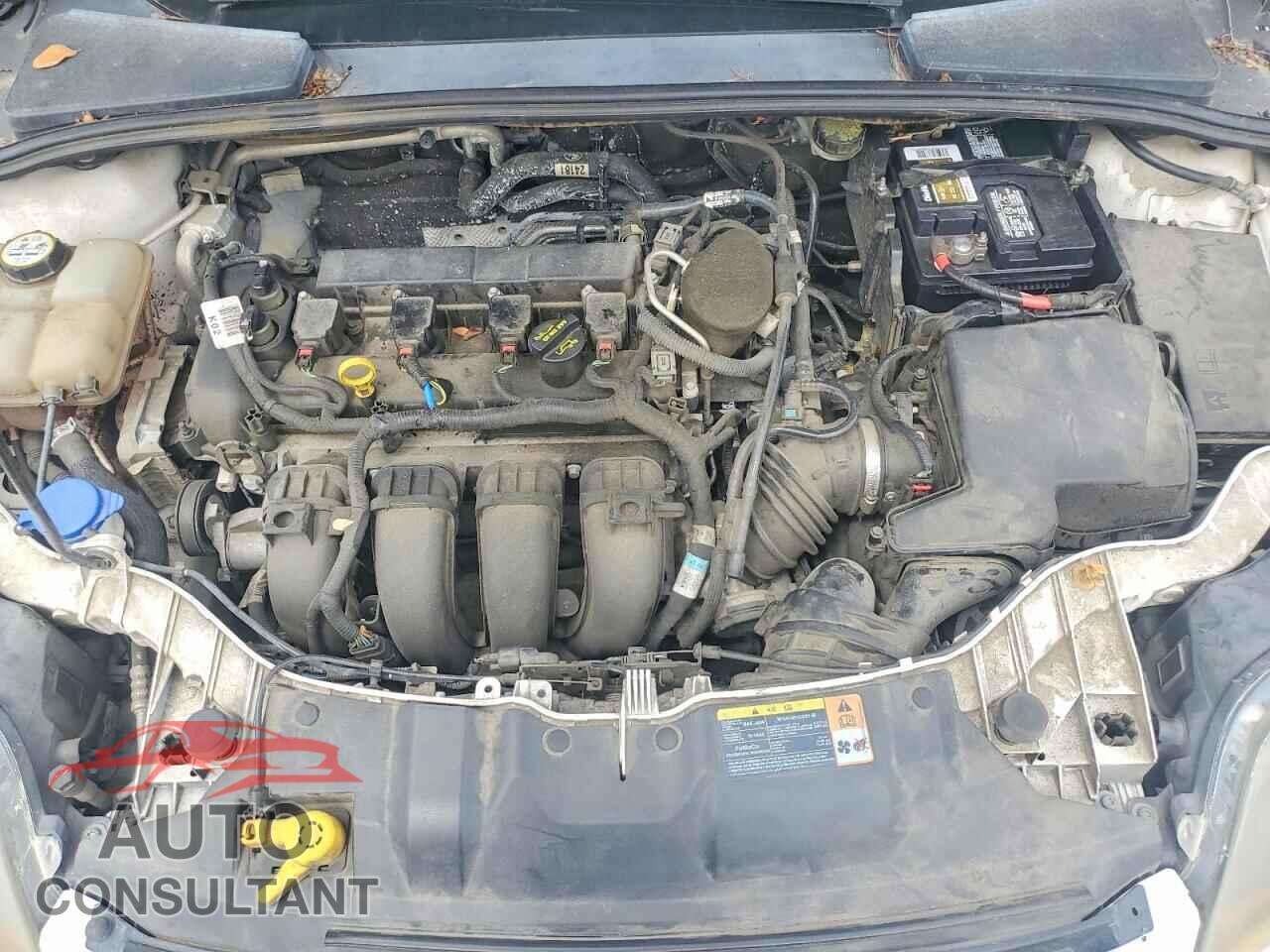 FORD FOCUS 2013 - 1FADP3N27DL226944