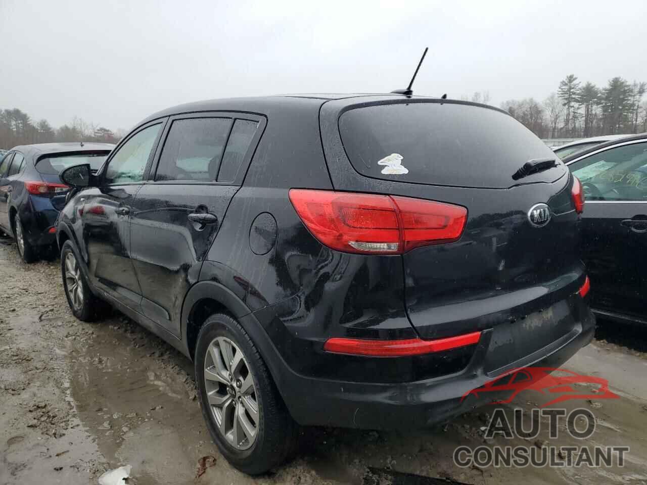 KIA SPORTAGE 2016 - KNDPBCAC9G7806777