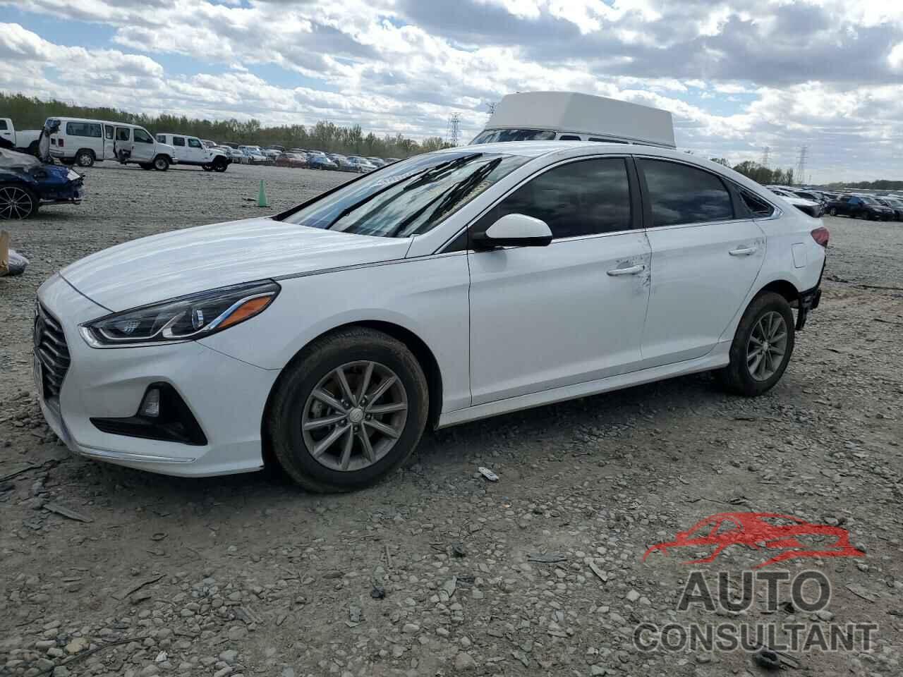 HYUNDAI SONATA 2019 - 5NPE24AF8KH747734