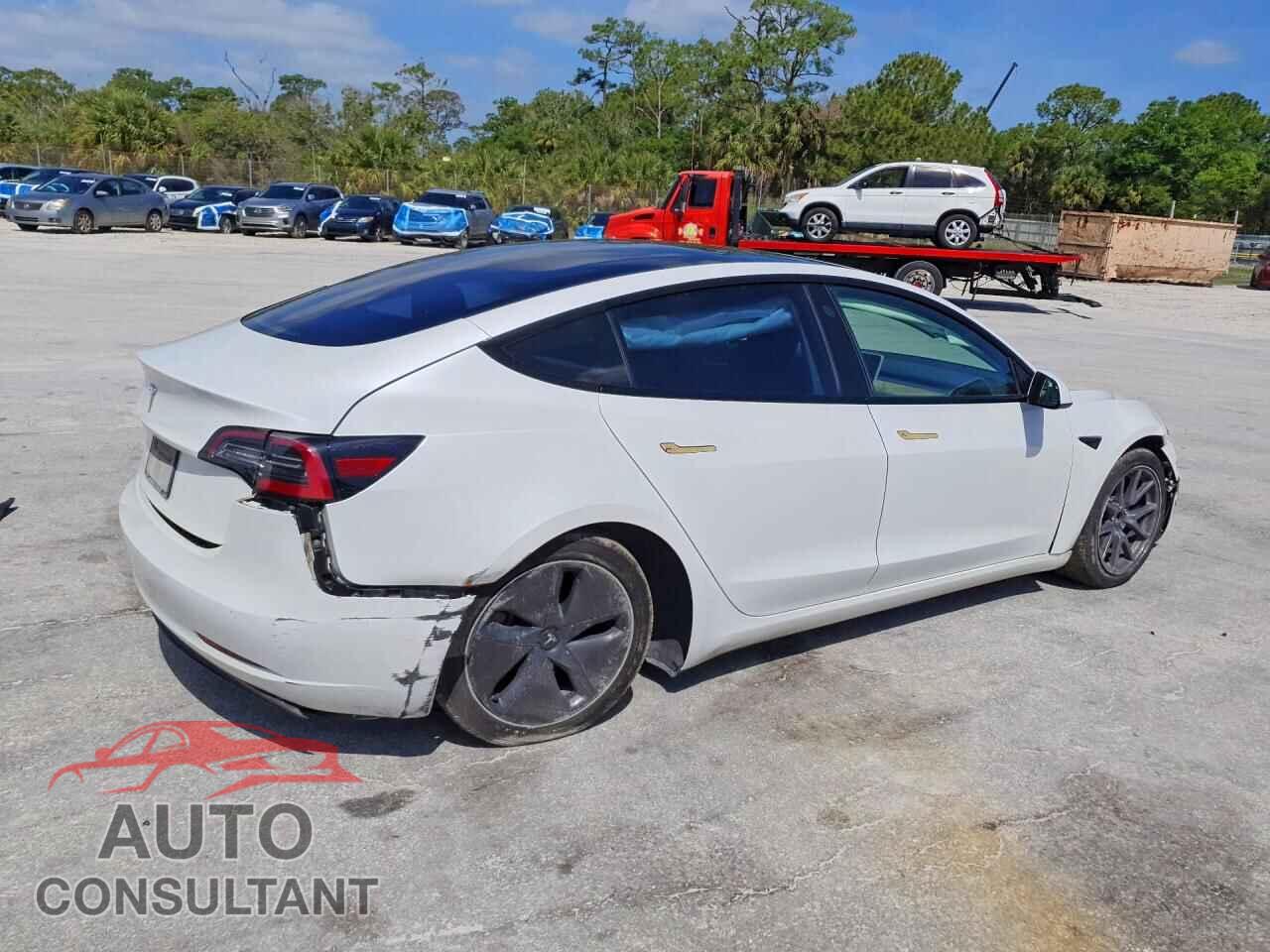 TESLA MODEL 3 2021 - 5YJ3E1EA9MF029719