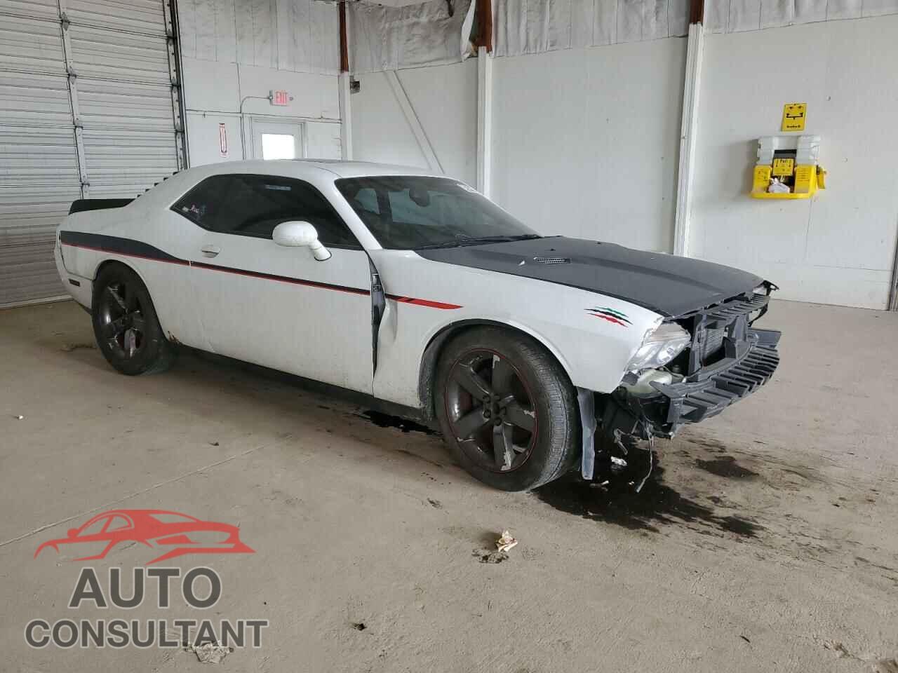 DODGE CHALLENGER 2013 - 2C3CDYBT3DH667917