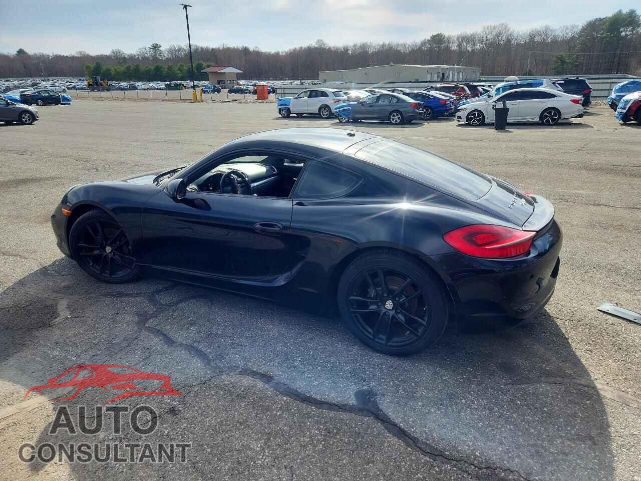 PORSCHE CAYMAN 2014 - WP0AA2A85EK170576