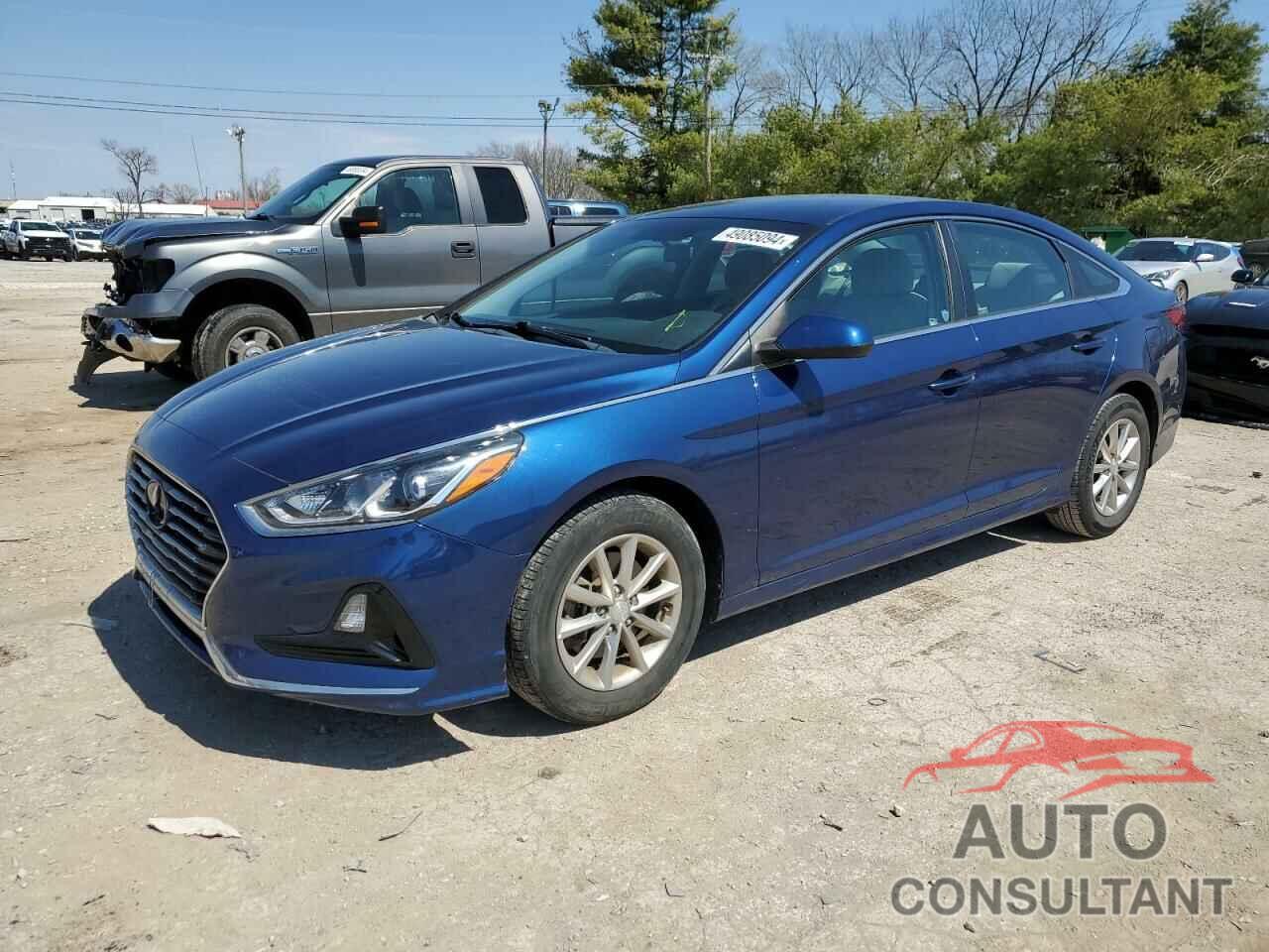 HYUNDAI SONATA 2019 - 5NPE24AF2KH778445