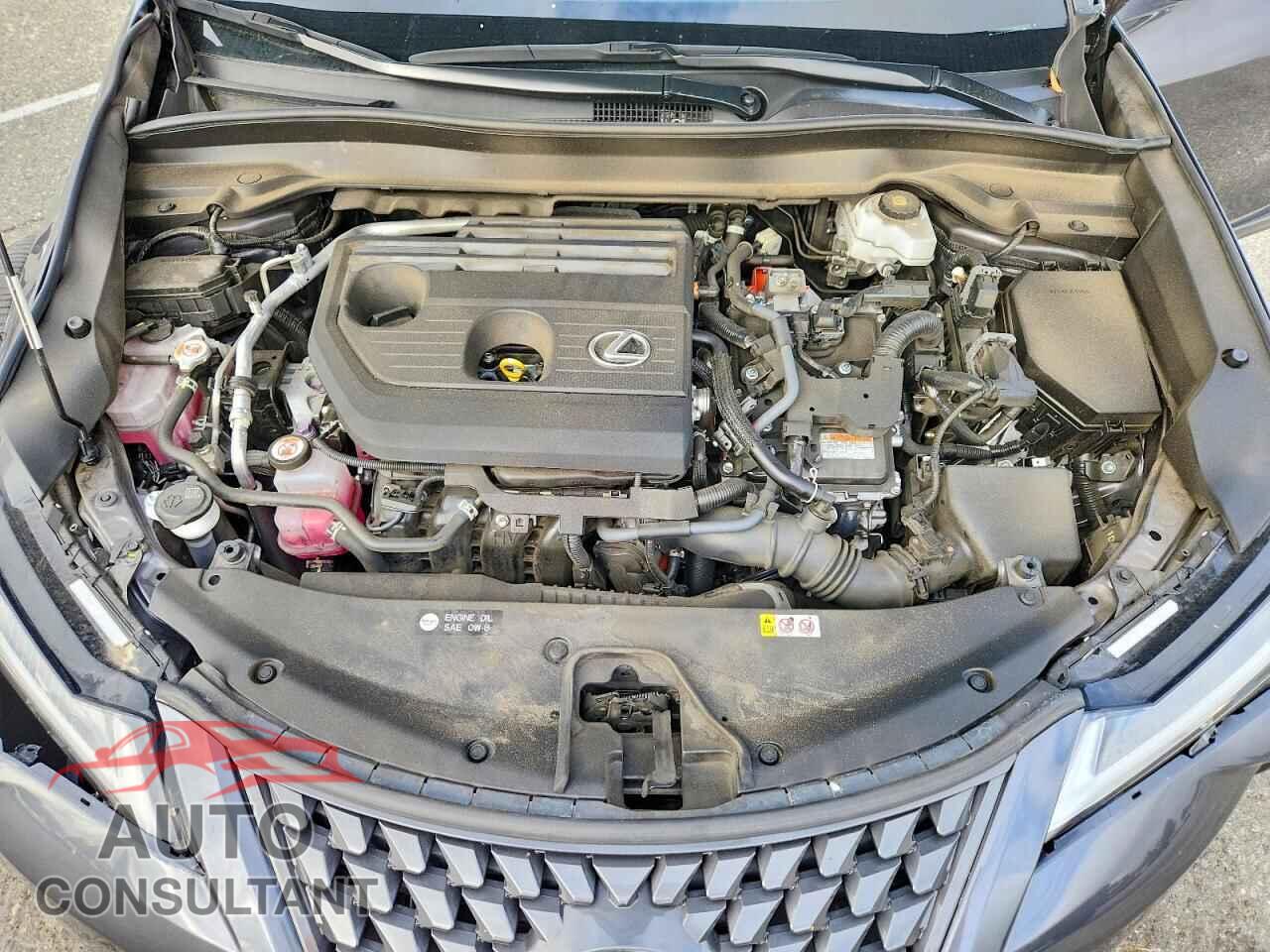 LEXUS UNKNOWN 2025 - JTHYBJAH8S2009607