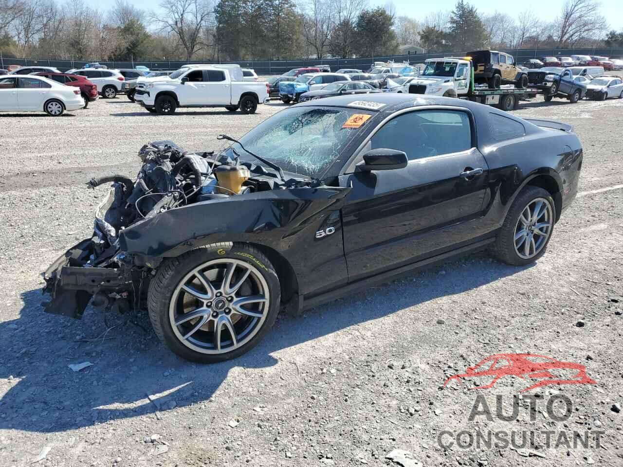 FORD MUSTANG 2013 - 1ZVBP8CF6D5248746