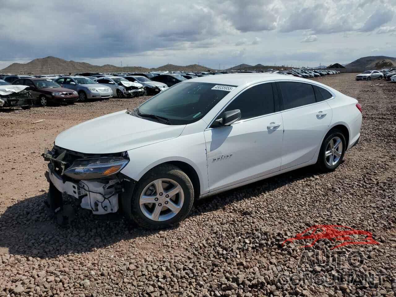 CHEVROLET MALIBU 2024 - 1G1ZC5ST3RF204359