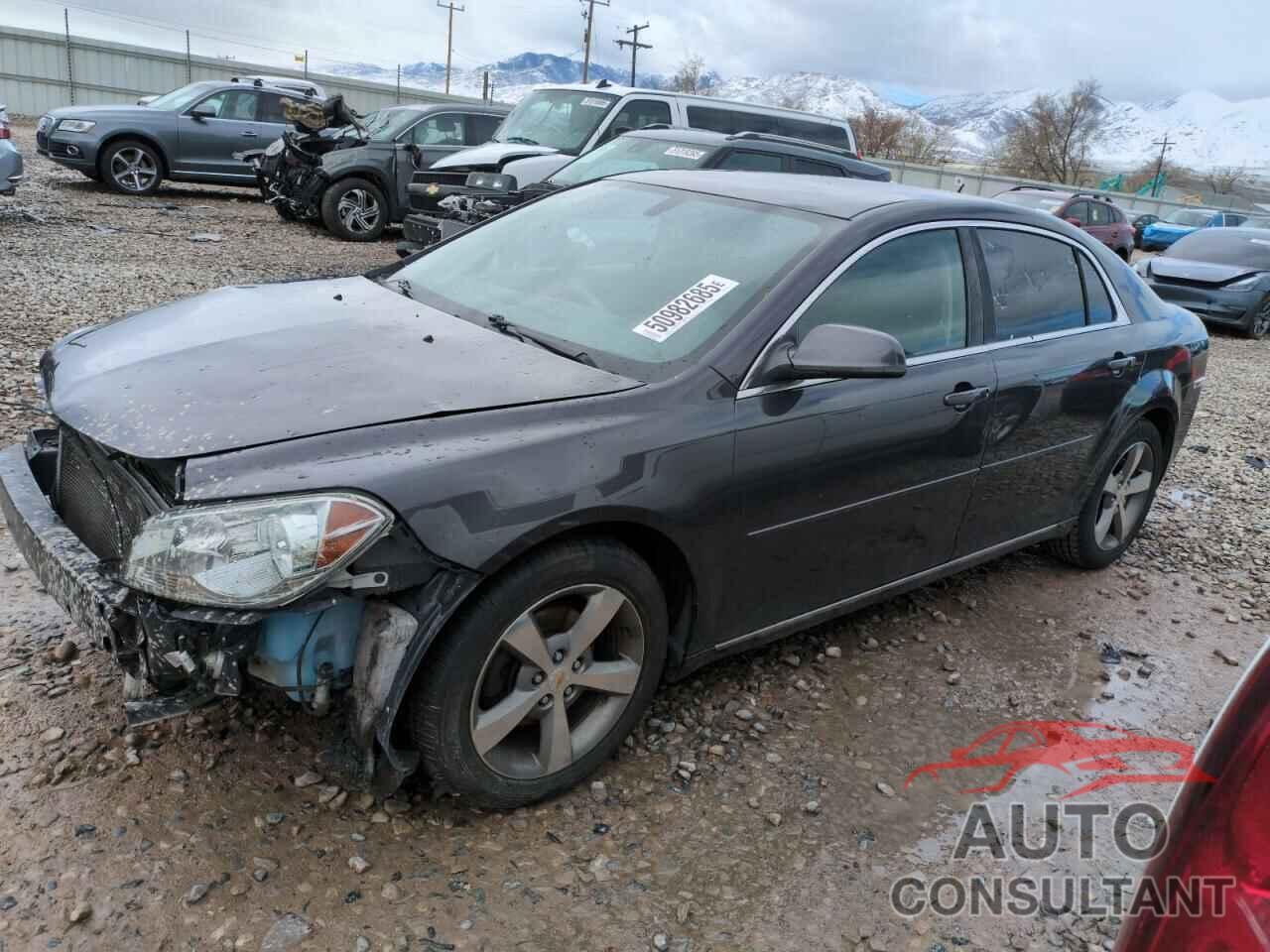 CHEVROLET MALIBU 2011 - 1G1ZC5E13BF212171