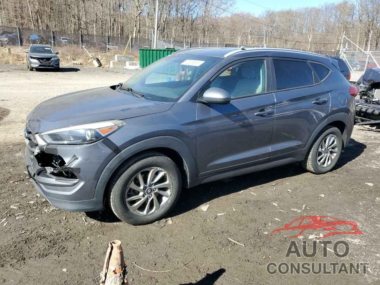 HYUNDAI TUCSON 2016 - KM8J33A43GU159026