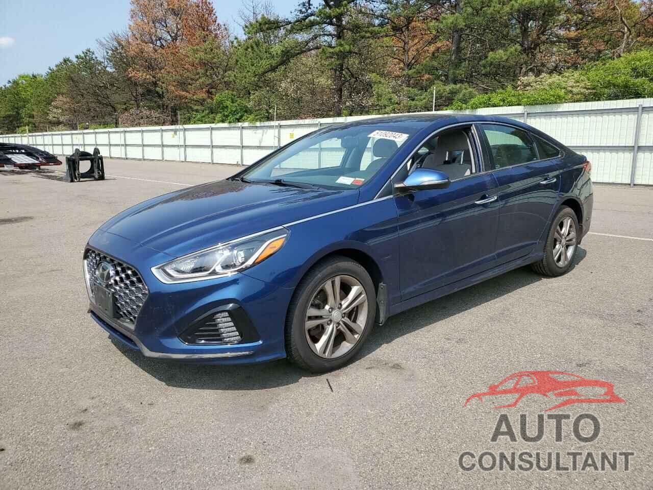 HYUNDAI SONATA 2019 - 5NPE34AF8KH807931