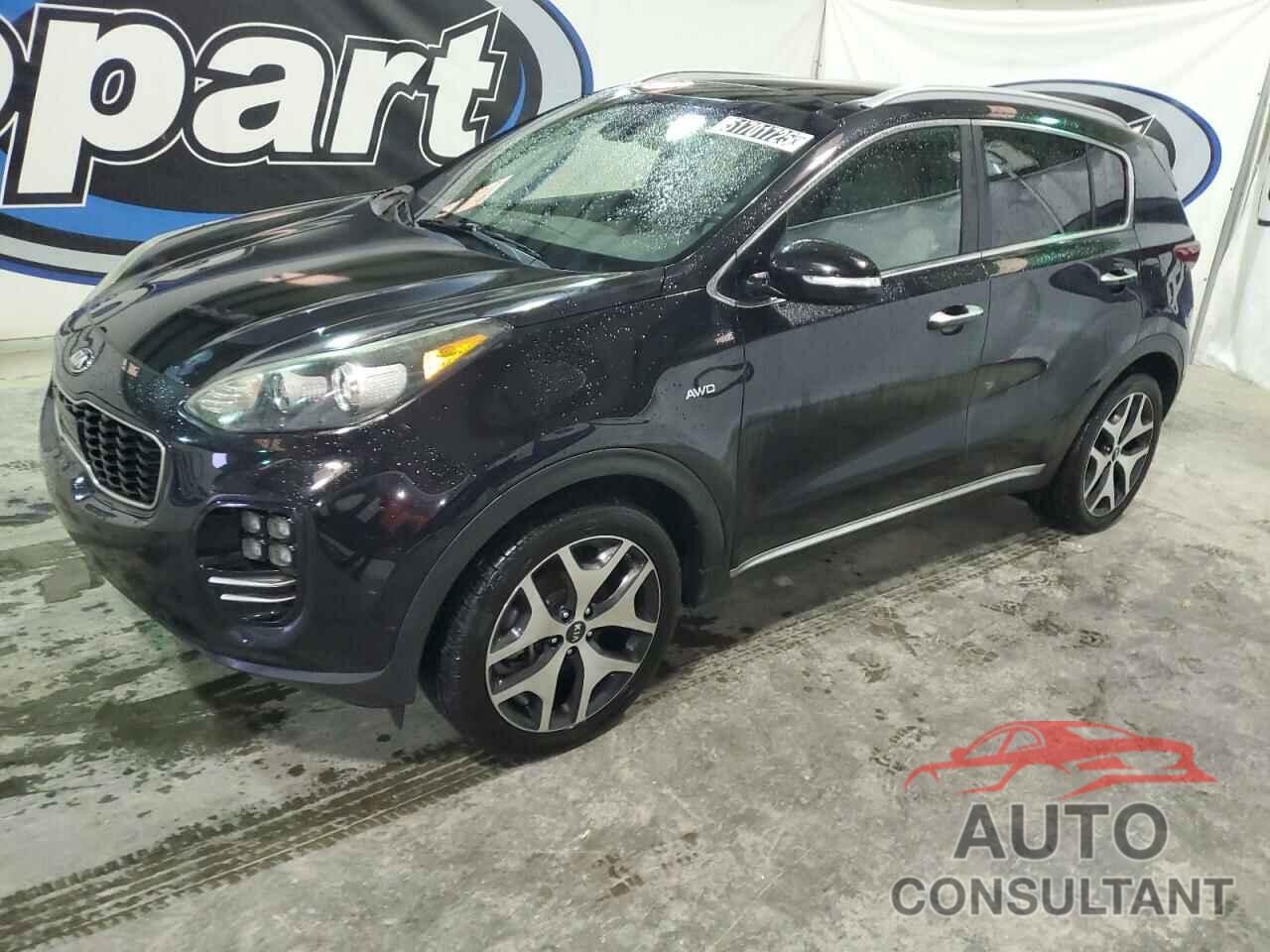 KIA SPORTAGE 2017 - KNDPRCA69H7168666