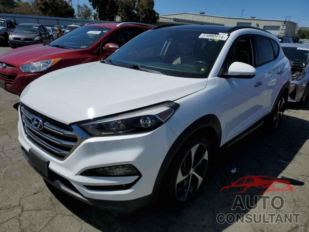 HYUNDAI TUCSON 2016 - KM8J33A24GU079281