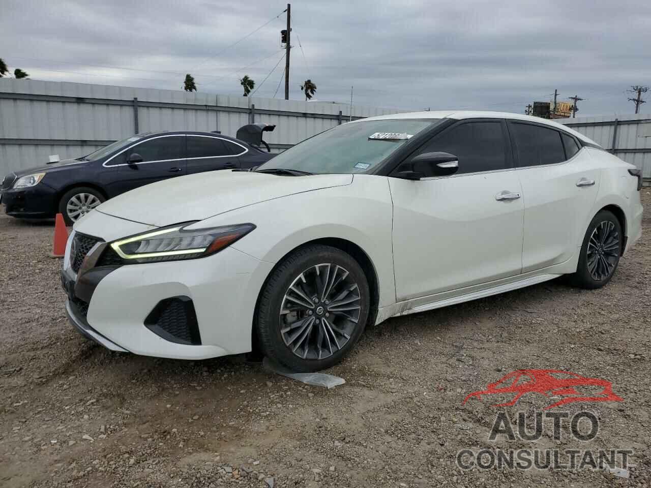 NISSAN MAXIMA 2022 - 1N4AA6CV0NC503390