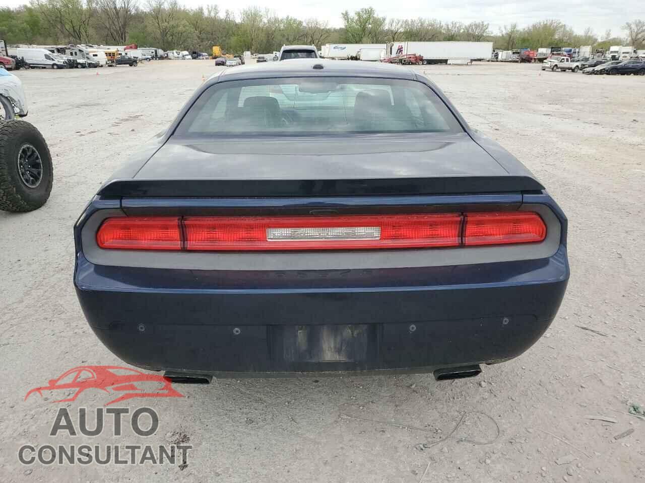 DODGE CHALLENGER 2013 - 2C3CDYBT9DH585965