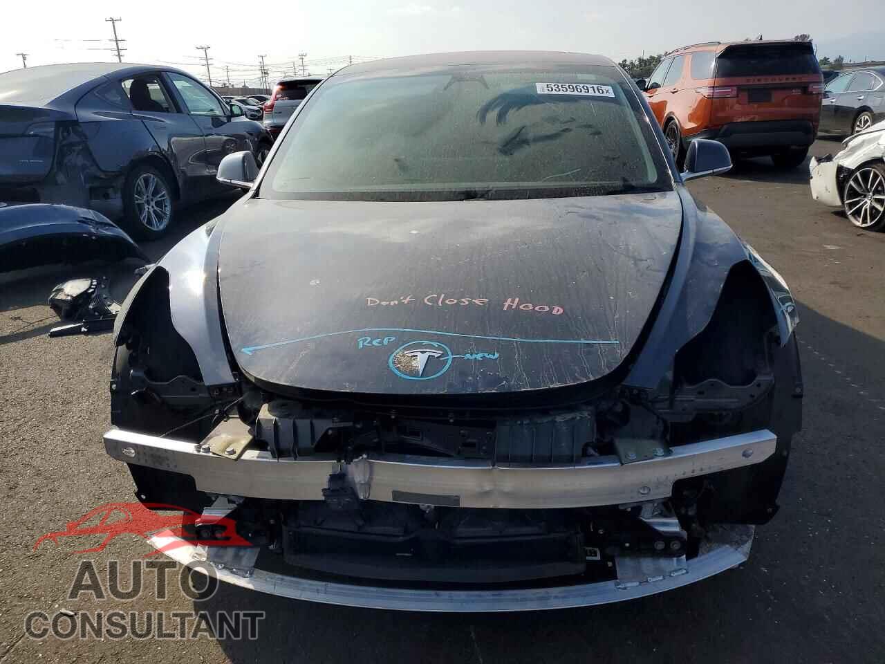 TESLA MODEL 3 2019 - 5YJ3E1EA2KF298870