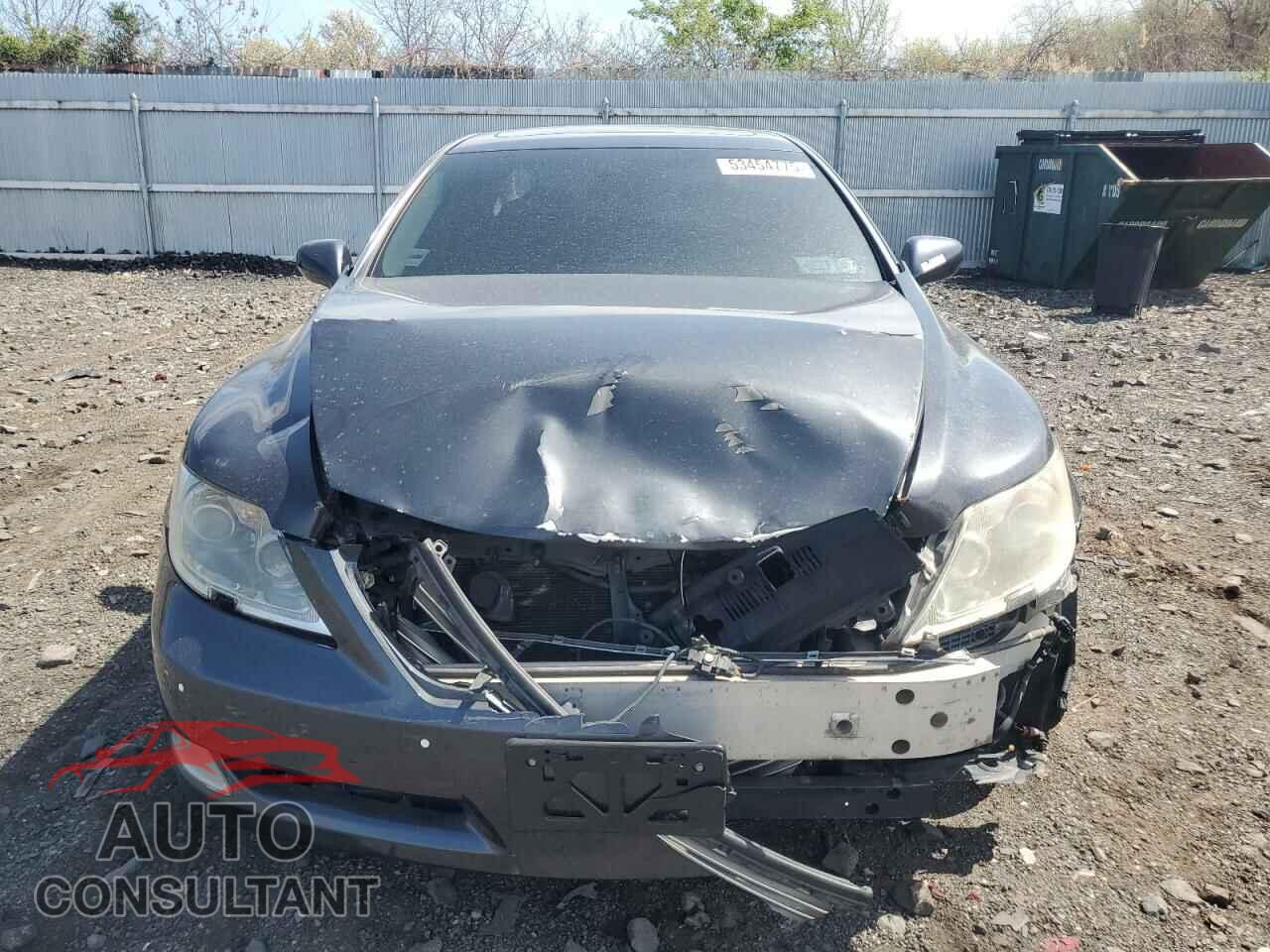 LEXUS LS460 2009 - JTHCL46F695002146