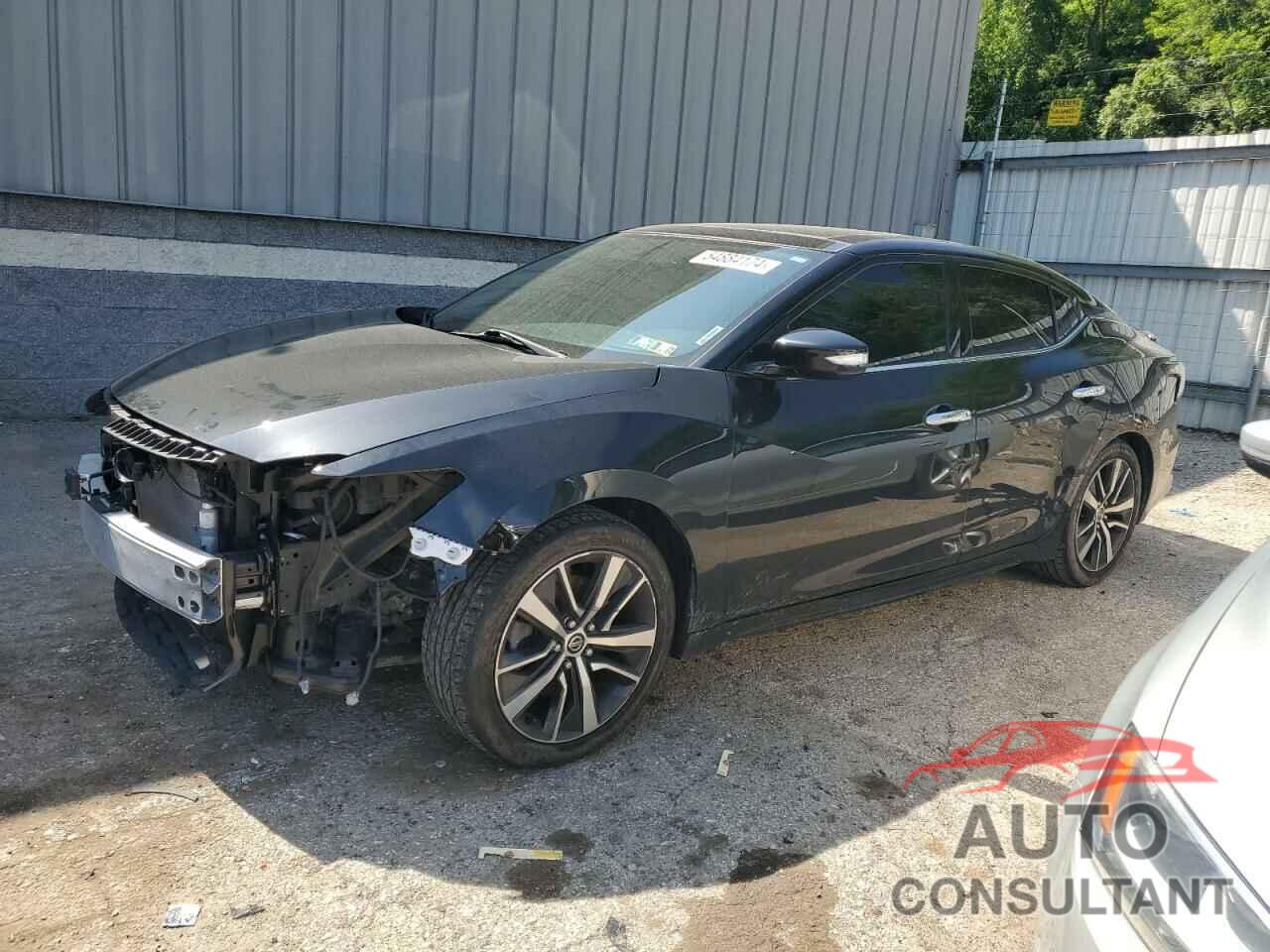 NISSAN MAXIMA 2019 - 1N4AA6AV1KC373084