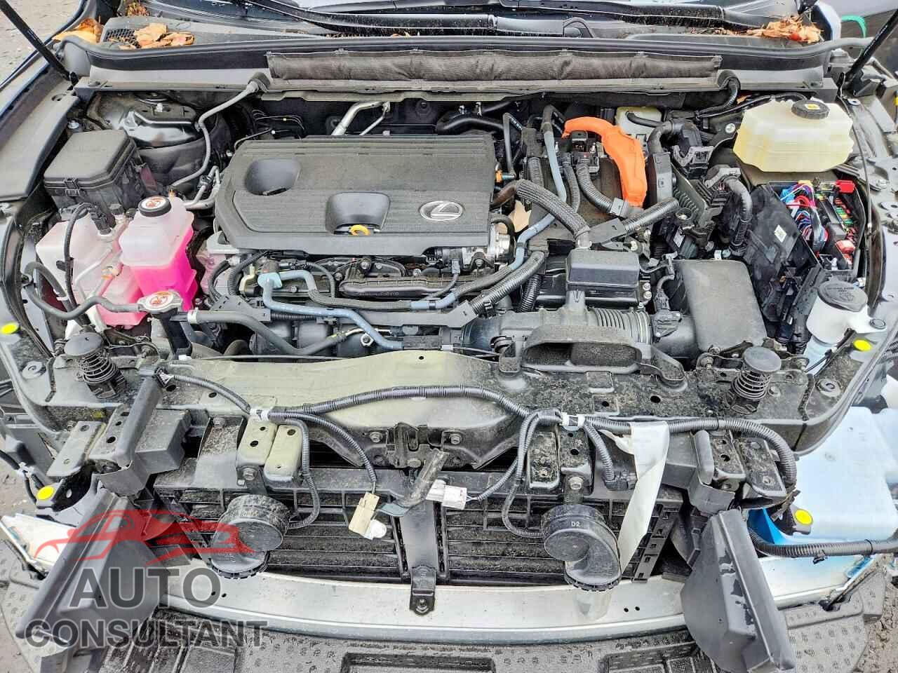 LEXUS UNKNOWN 2025 - 2T2BBMCAXSC087456