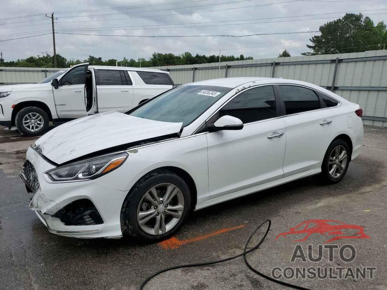 HYUNDAI SONATA 2019 - 5NPE34AF2KH770973