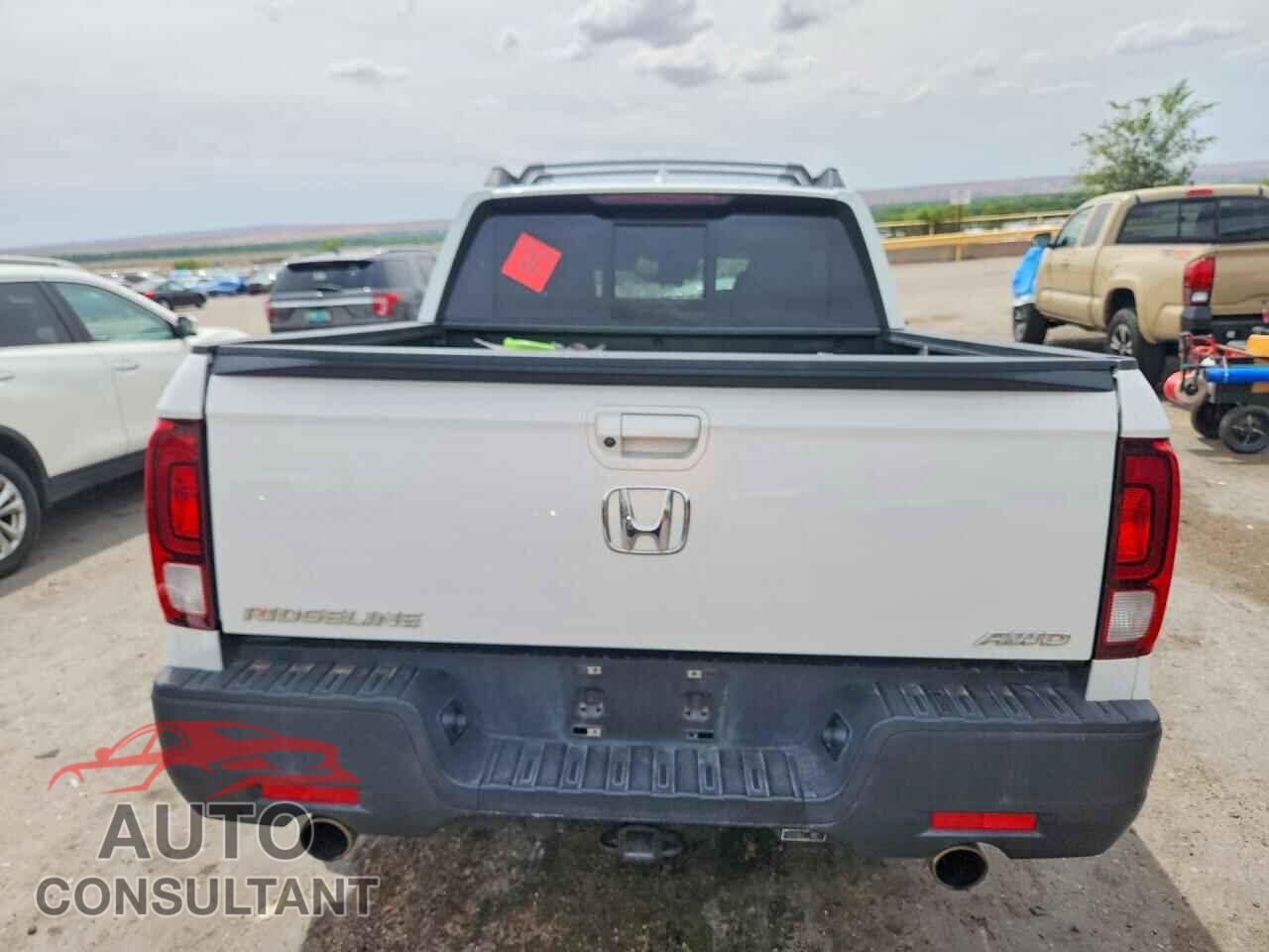 HONDA RIDGELINE 2021 - 5FPYK3F52MB008889