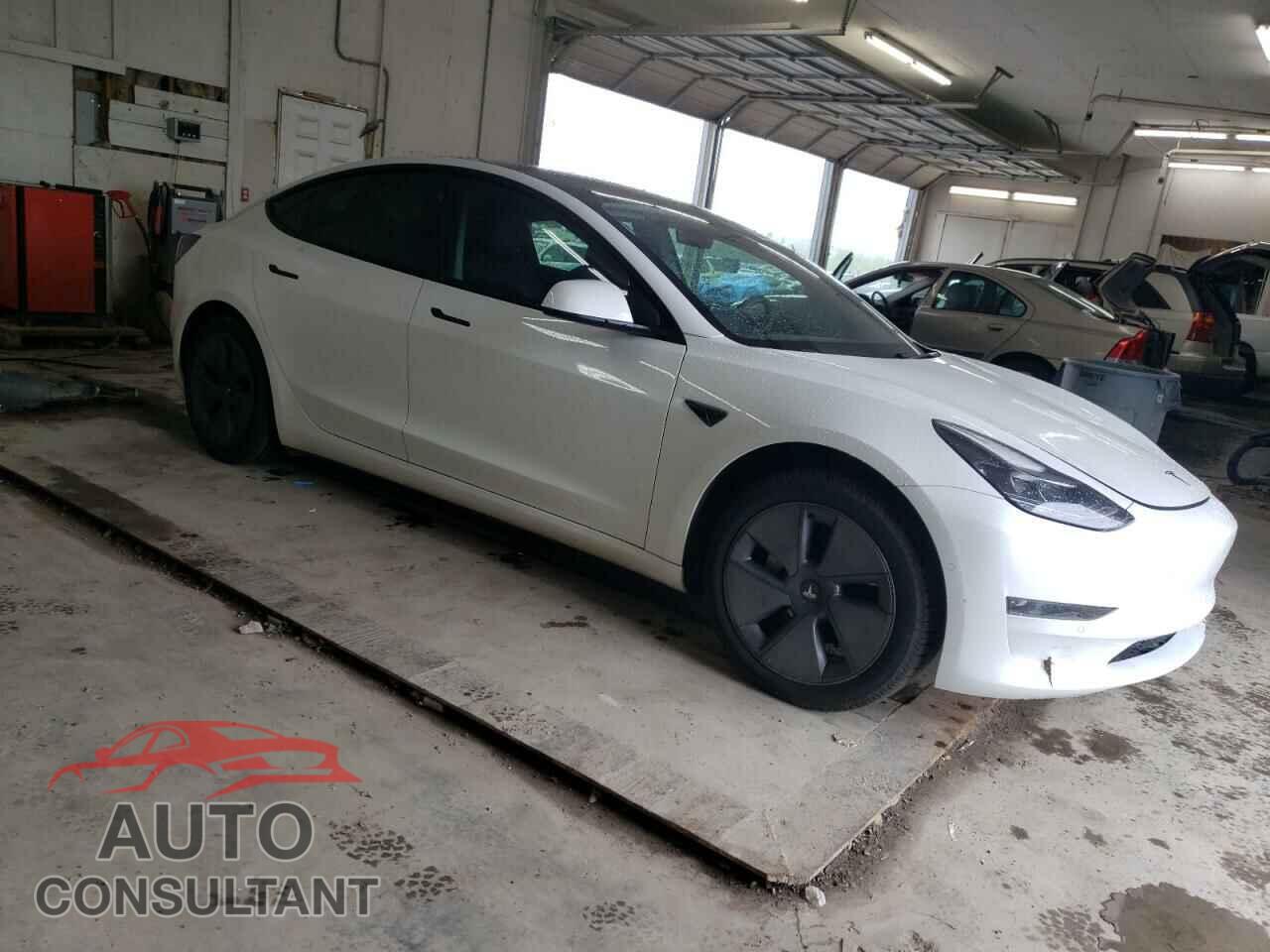 TESLA MODEL 3 2021 - 5YJ3E1EA8MF029789