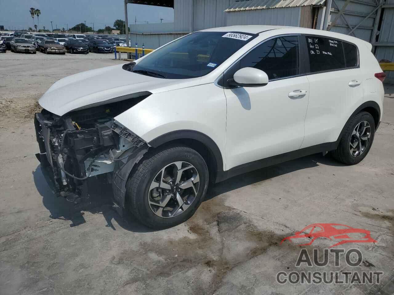 KIA SPORTAGE 2022 - KNDPM3AC1N7017420