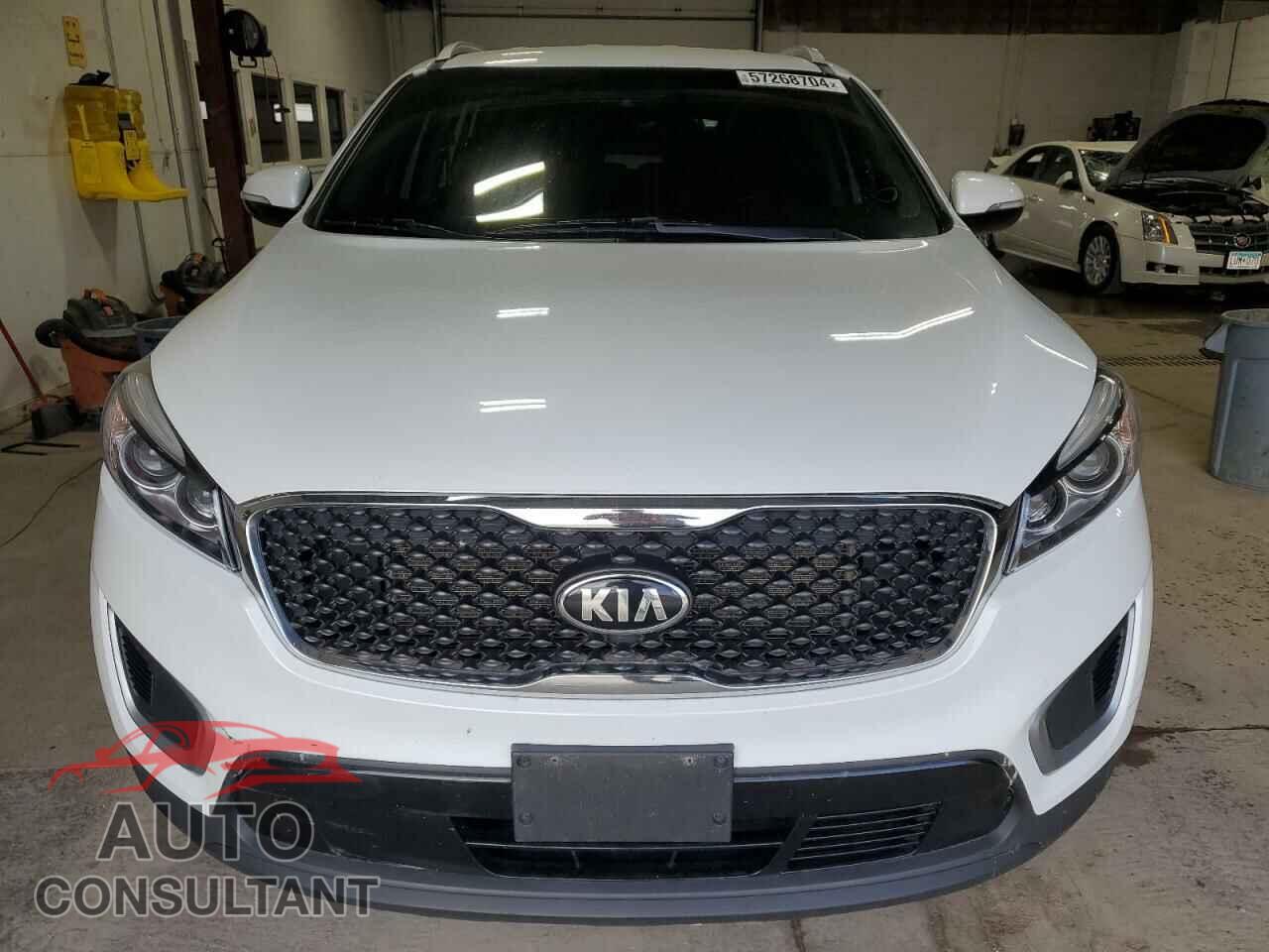 KIA SORENTO 2017 - 5XYPGDA33HG211399