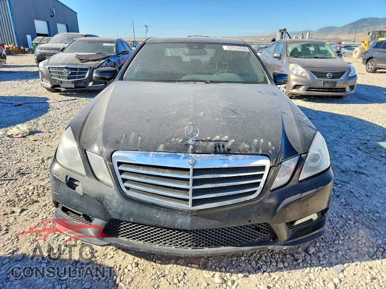 MERCEDES-BENZ E-CLASS 2010 - WDDHF9AB3AA236083