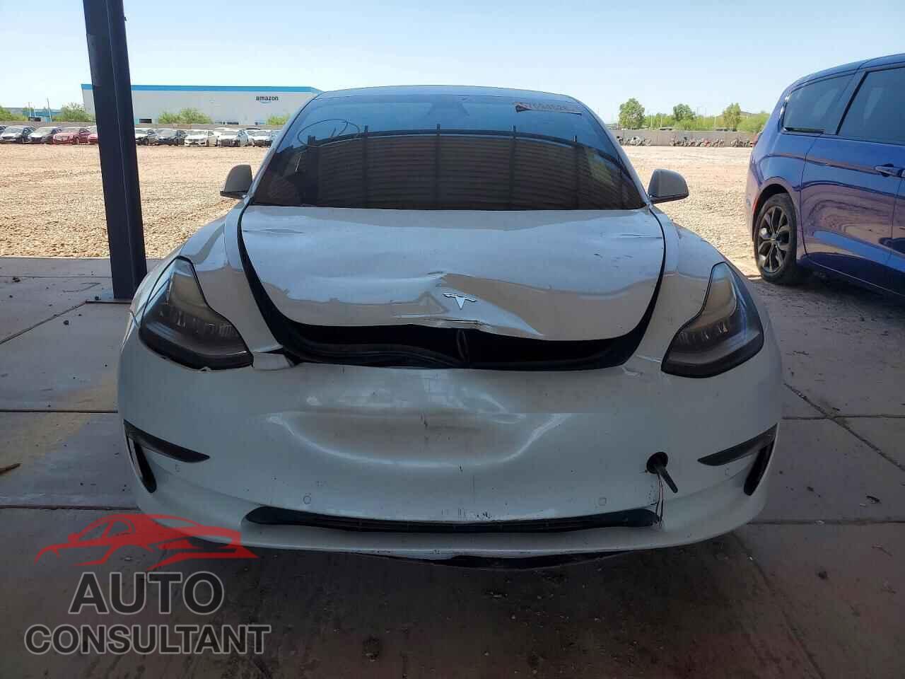 TESLA MODEL 3 2019 - 5YJ3E1EA3KF436271