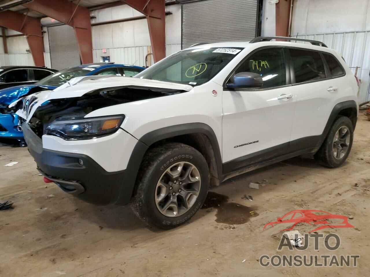 JEEP CHEROKEE 2019 - 1C4PJMBX8KD387034