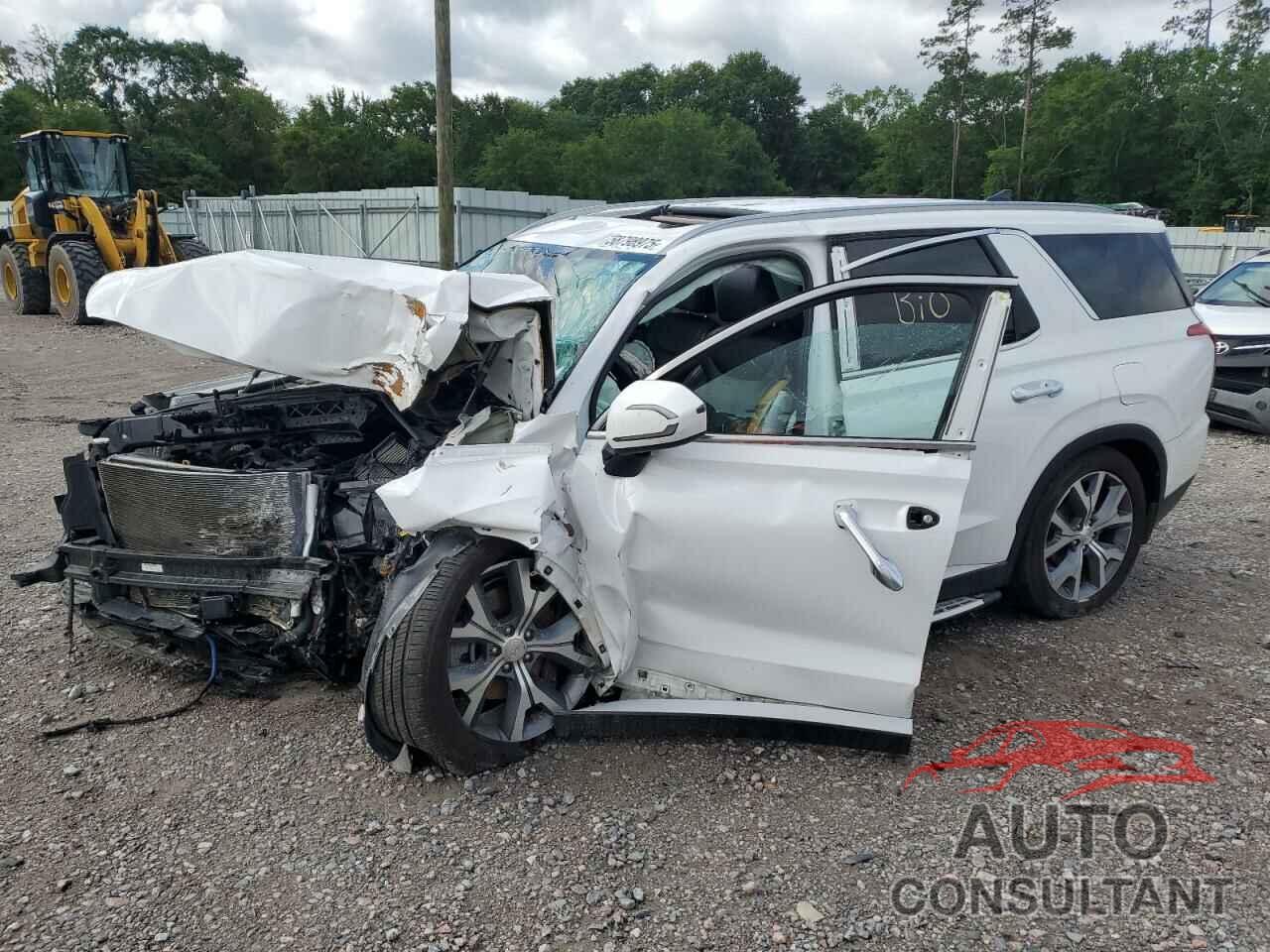 HYUNDAI PALISADE 2020 - KM8R44HE8LU063343