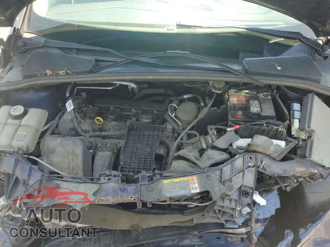 FORD FOCUS 2012 - 1FAHP3M2XCL149567