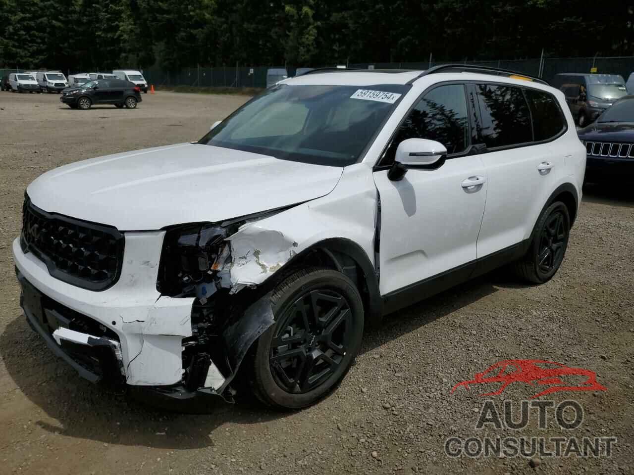 KIA TELLURIDE 2024 - 5XYP5DGC0RG426608