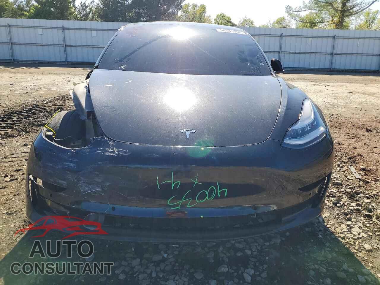 TESLA MODEL 3 2019 - 5YJ3E1EA2KF485994