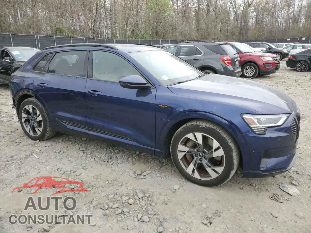 AUDI E-TRON 2022 - WA1AAAGE7NB030367