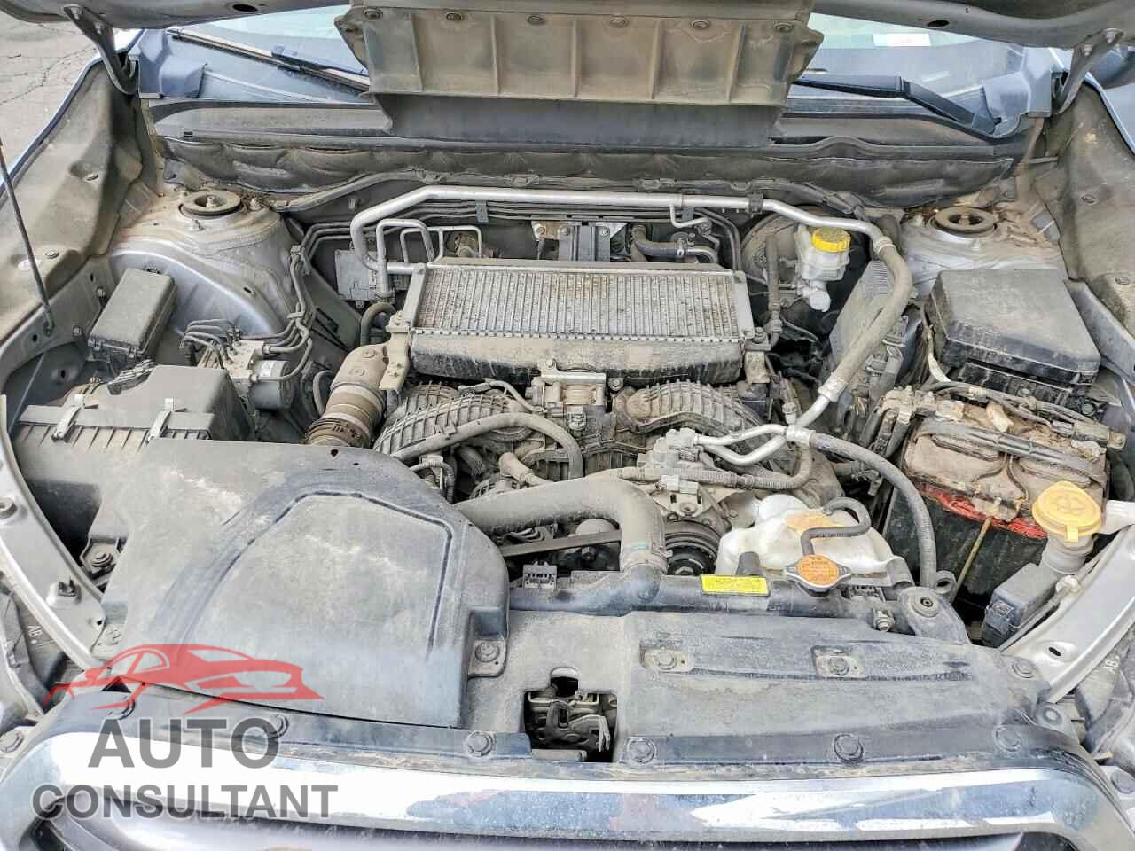 SUBARU ASCENT 2019 - 4S4WMAPD1K3446281