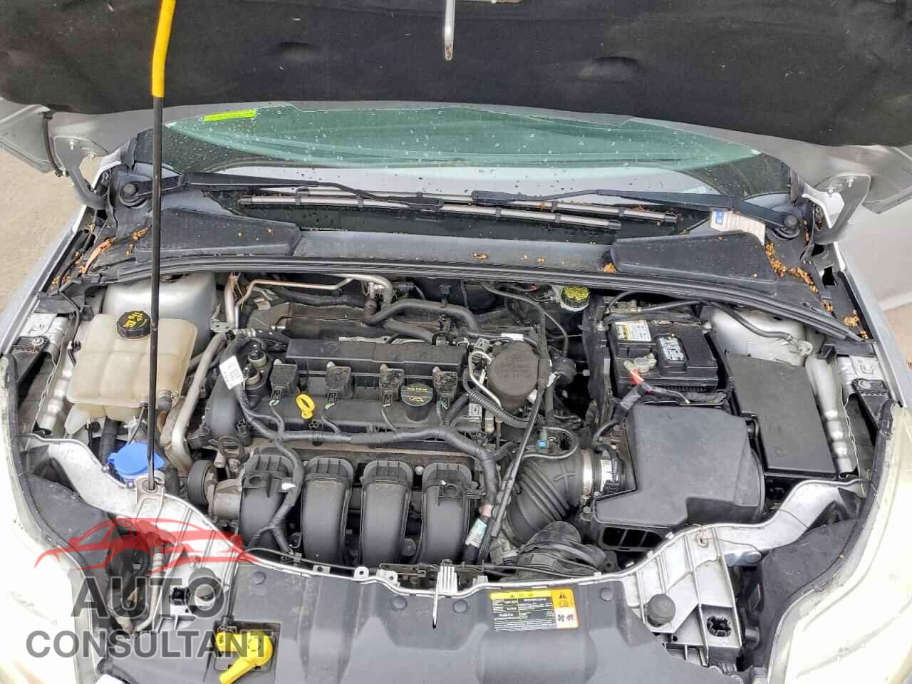 FORD FOCUS 2012 - 1FAHP3F22CL142321