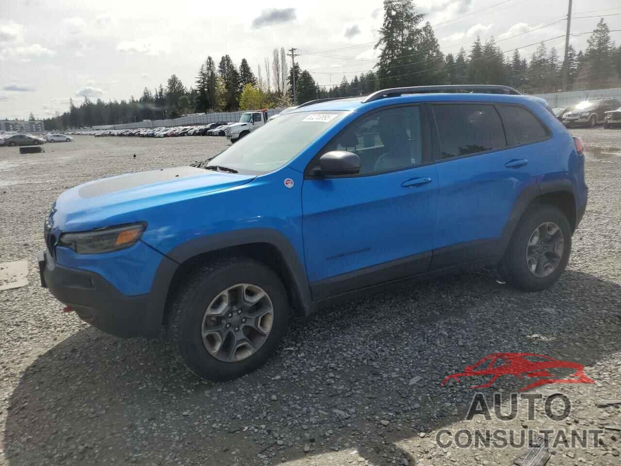 JEEP CHEROKEE 2019 - 1C4PJMBX0KD108370