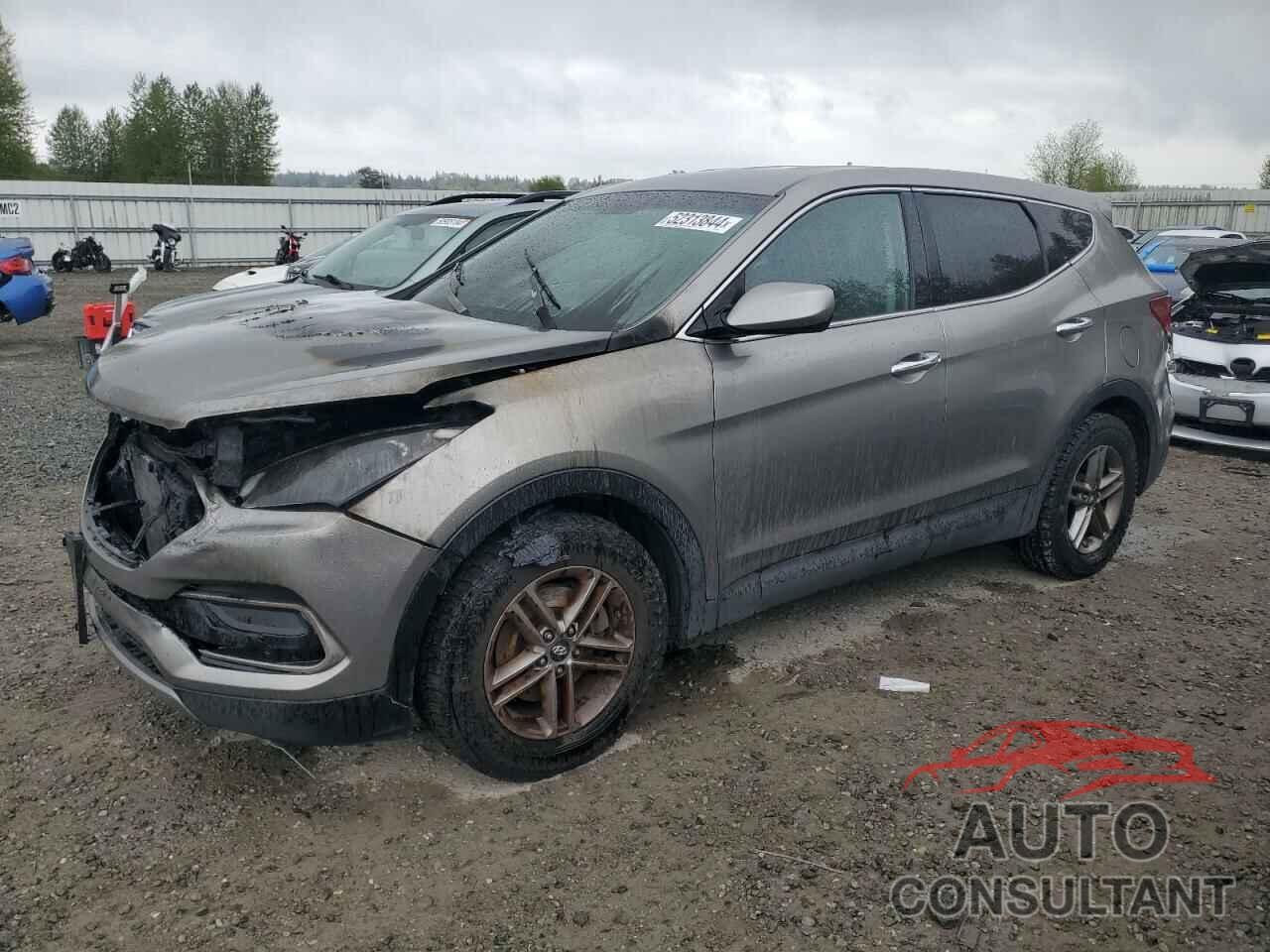 HYUNDAI SANTA FE 2017 - 5NMZTDLB6HH002351