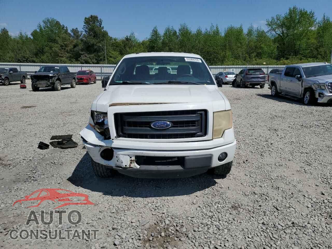 FORD F-150 2013 - 1FTFX1CF2DFC49219